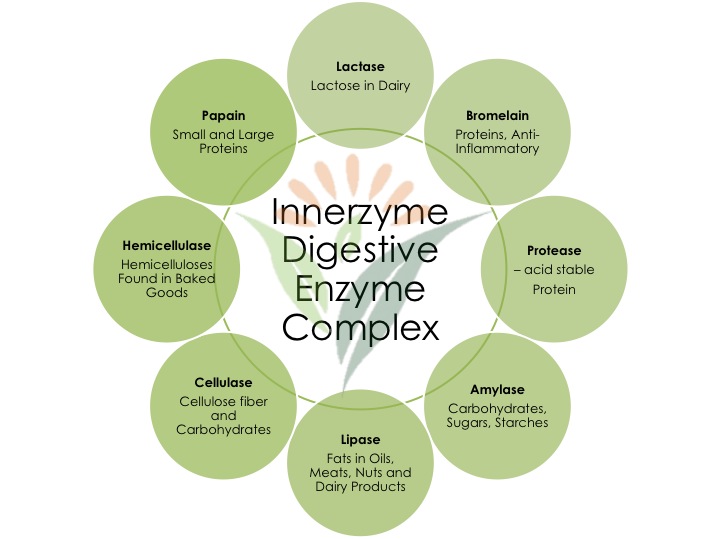 Digestive-Enzyme-Complex